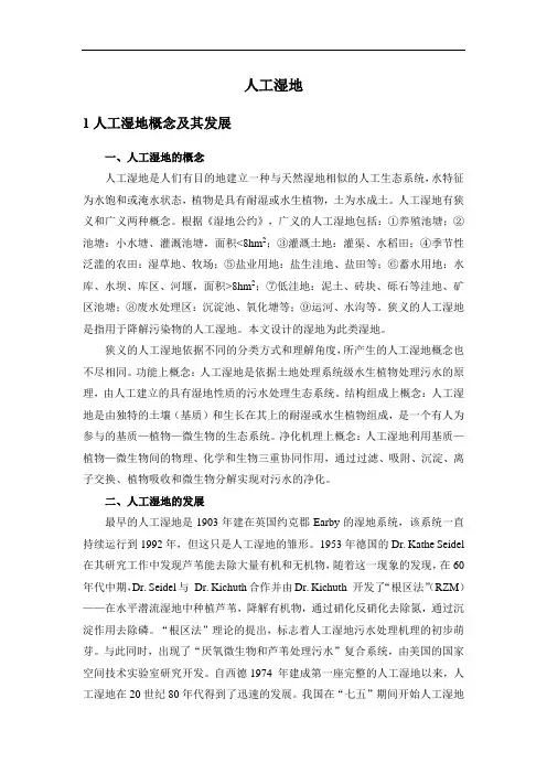 人工湿地的发展、分类及机理