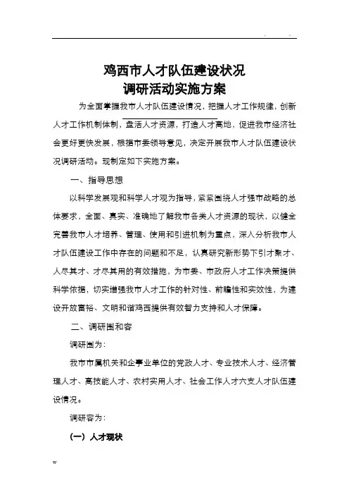 人才队伍建设调研方案