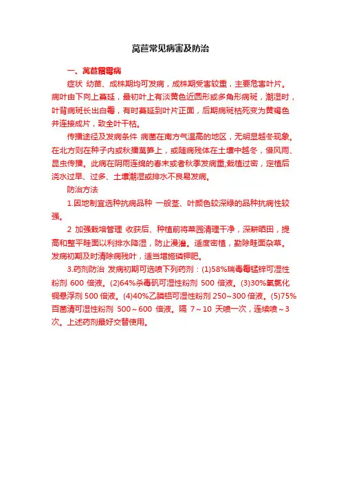 莴苣常见病害及防治