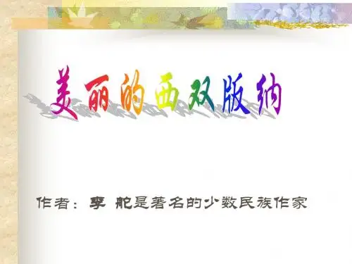 11美丽的西双版纳