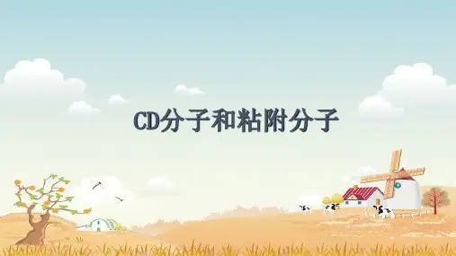 精品医学课件-- CD分子和粘附分子
