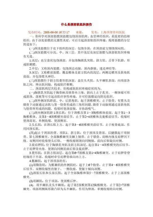颈部肌肉解剖基础