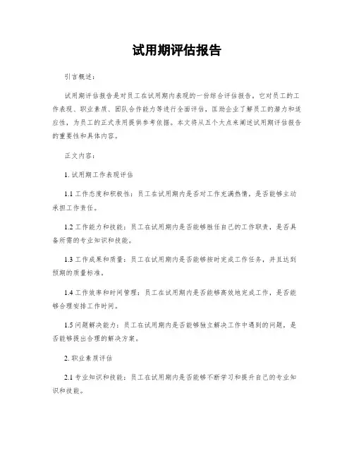 试用期评估报告