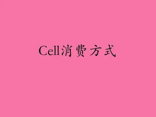 Cell生产方式ppt课件