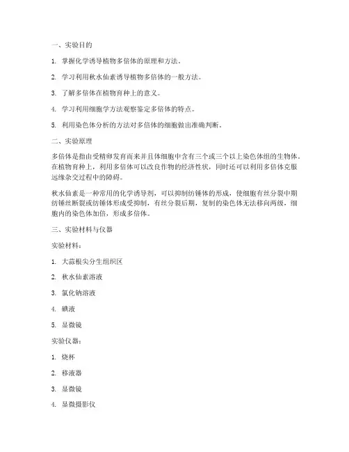 多倍体_实验报告