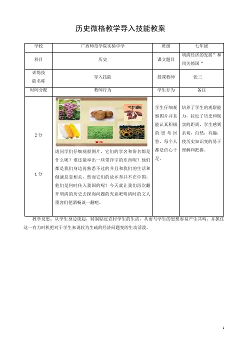 历史微格教学导入技能教案