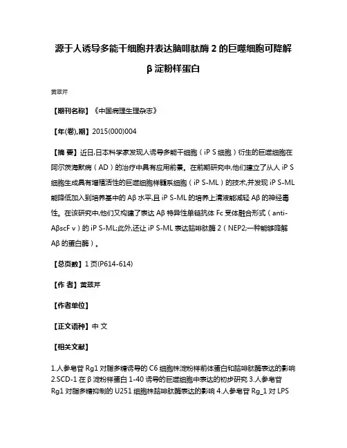 源于人诱导多能干细胞并表达脑啡肽酶2的巨噬细胞可降解β淀粉样蛋白