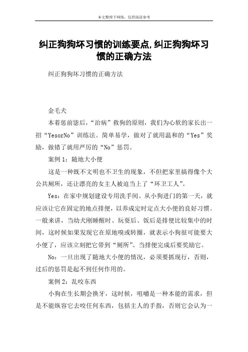 纠正狗狗坏习惯的训练要点,纠正狗狗坏习惯的正确方法