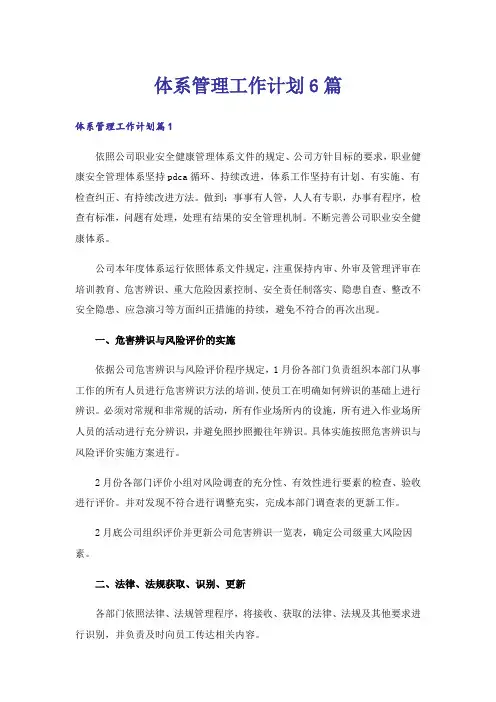 体系管理工作计划6篇
