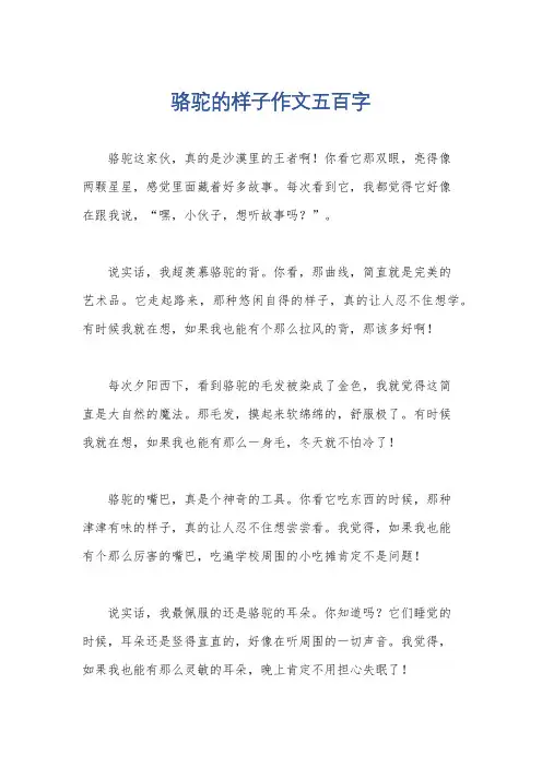 骆驼的样子作文五百字