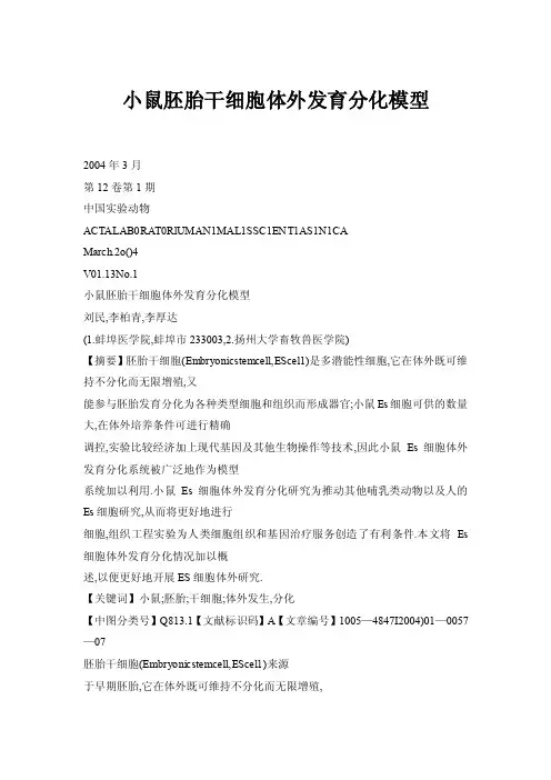 小鼠胚胎干细胞体外发育分化模型