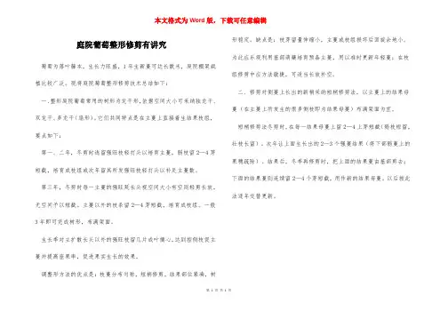 庭院葡萄整形修剪有讲究