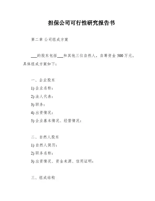 担保公司可行性研究报告书
