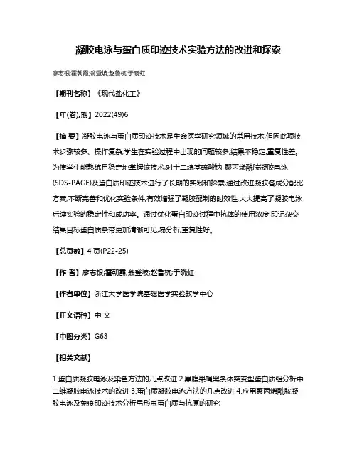 凝胶电泳与蛋白质印迹技术实验方法的改进和探索
