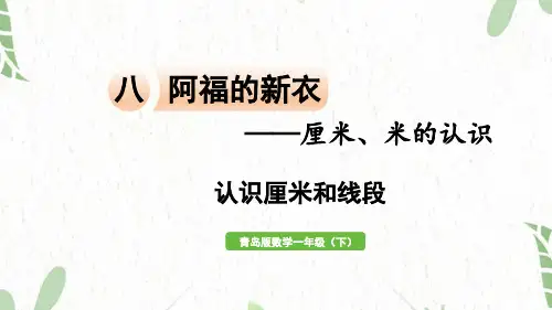 青岛版数学一年级(下册)信息窗1 认识厘米和线段