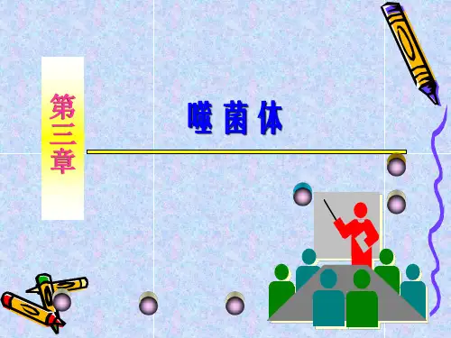 (3)噬菌体