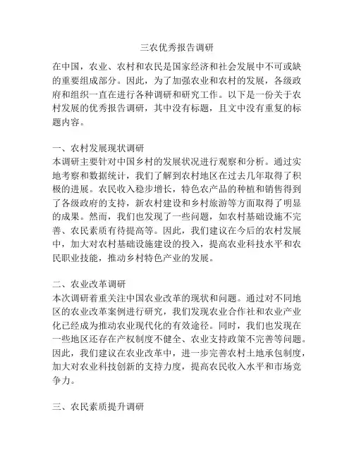 三农优秀报告调研