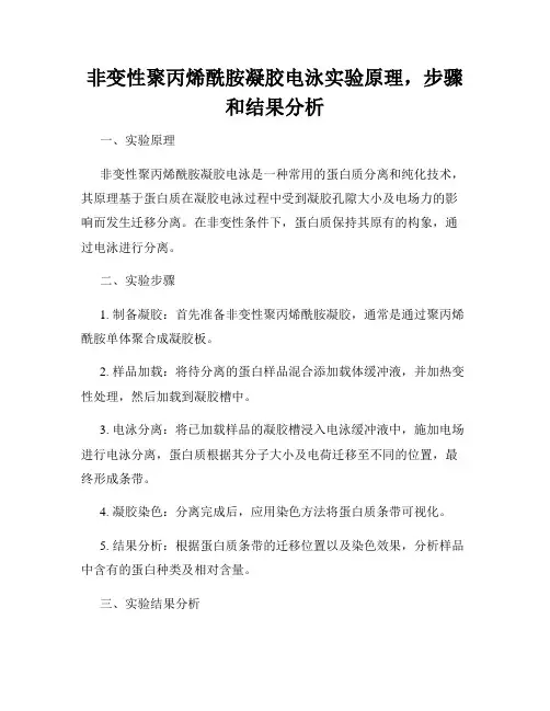 非变性聚丙烯酰胺凝胶电泳实验原理,步骤和结果分析