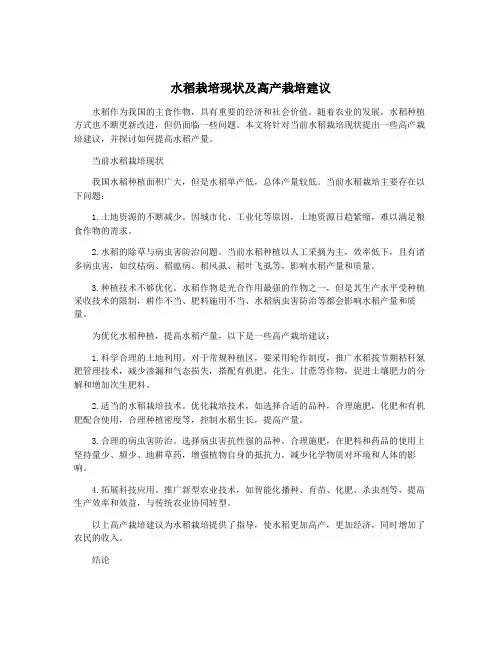 水稻栽培现状及高产栽培建议