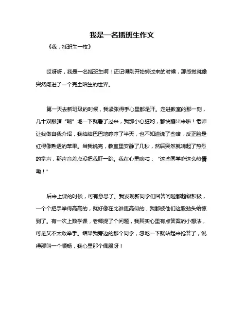 我是一名插班生作文