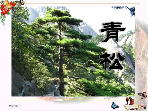 《青松》 精品PPT课件3(共21张)