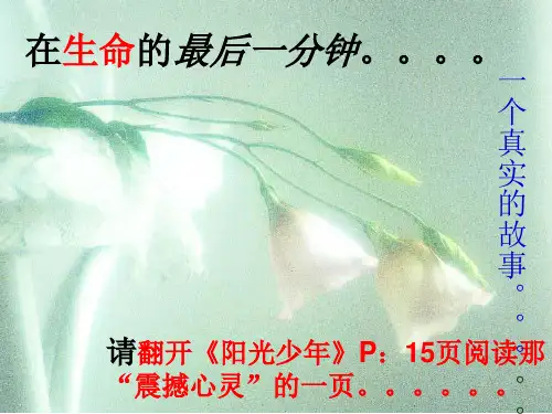 在生命的最后一分钟
