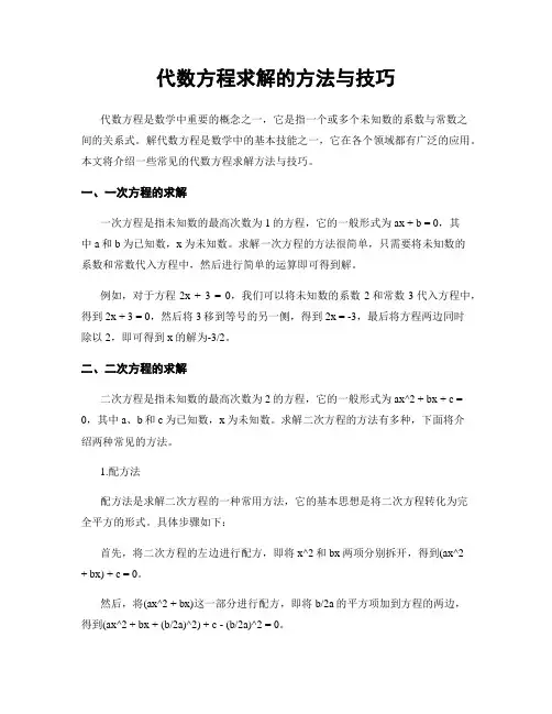 代数方程求解的方法与技巧