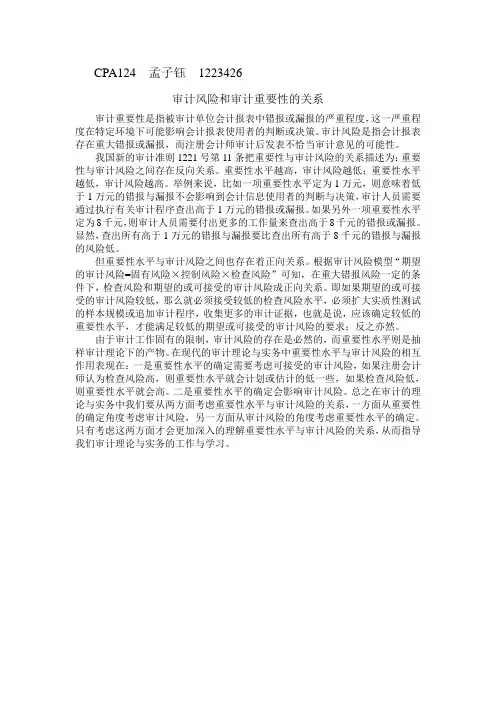 审计重要性与风险