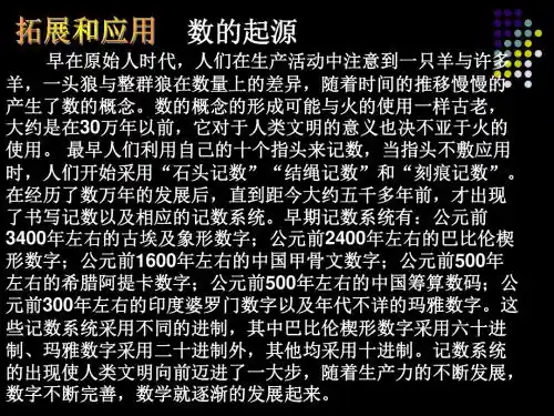 1.1从自然数到有理数(1)