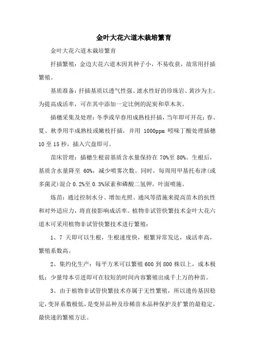 金叶大花六道木栽培繁育