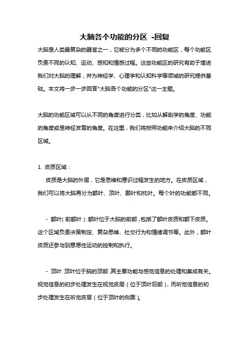 大脑各个功能的分区 -回复