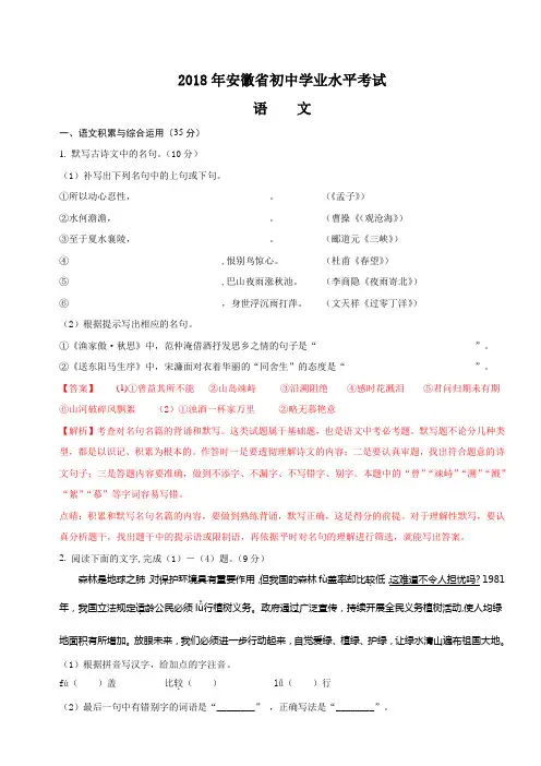 2018年安徽省初中学业水平考试语文试题及解析