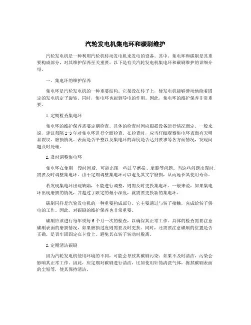 汽轮发电机集电环和碳刷维护