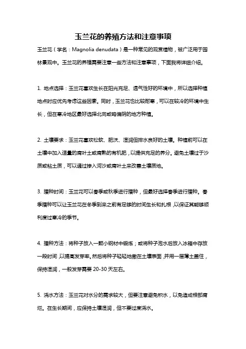 玉兰花的养殖方法和注意事项