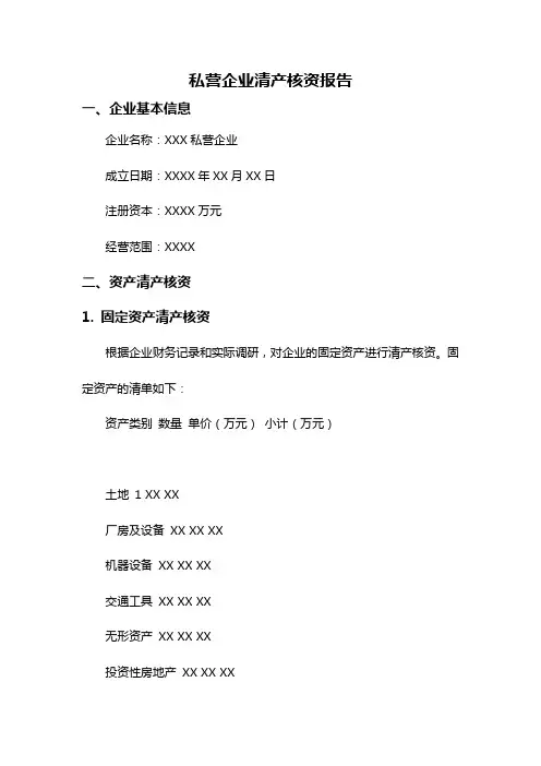 私营企业清产核资报告