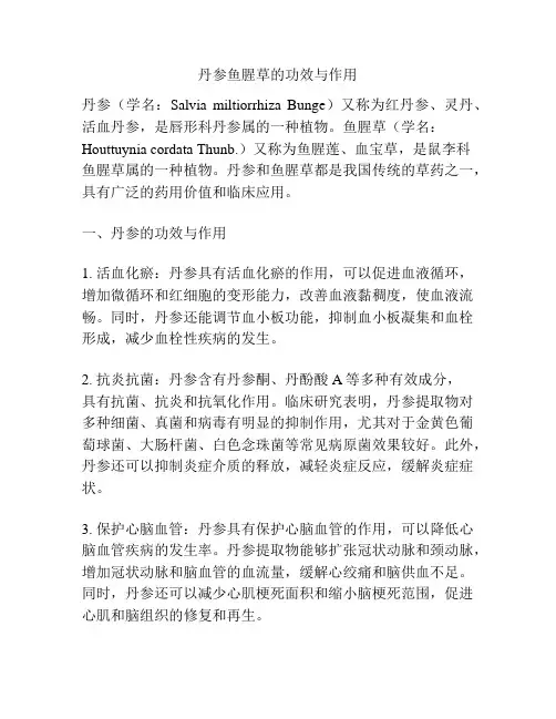 丹参鱼腥草的功效与作用