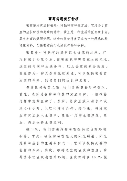 葡萄苗用黄豆种植