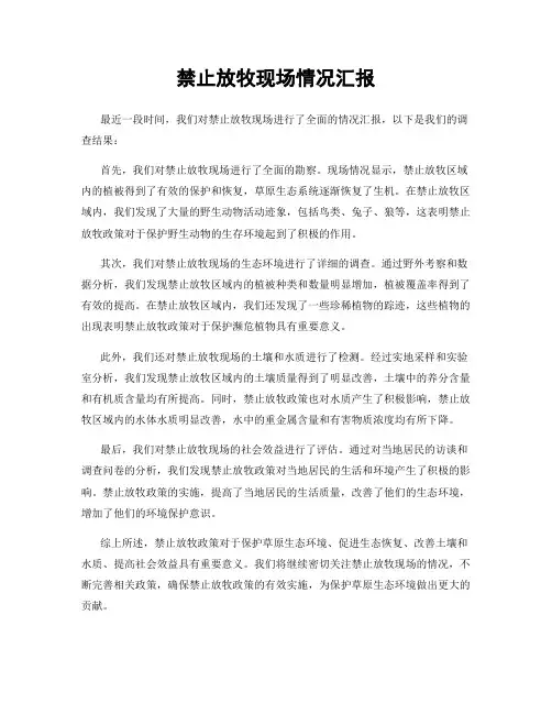 禁止放牧现场情况汇报