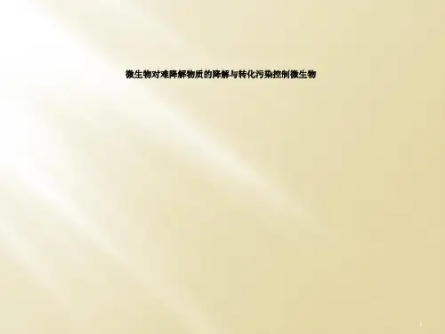 微生物对难降解物质的降解与转化污染控制微生物