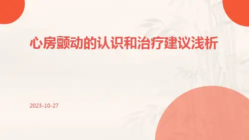 心房颤动的认识和治疗建议浅析PPT课件