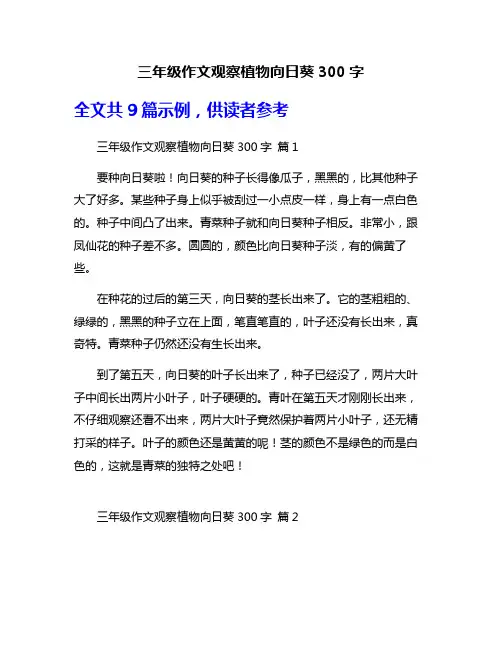 三年级作文观察植物向日葵300字