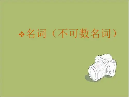 初中英语不可数名词