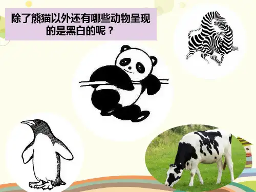 初中美术人美九年级上册黑白装饰画黑白装饰画 优秀奖PPT