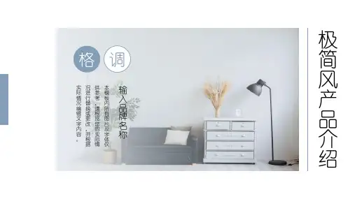 极简风产品介绍PPT