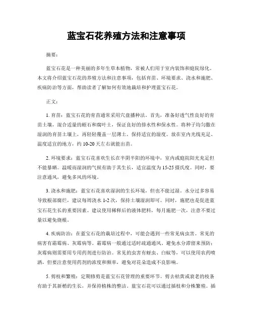 蓝宝石花养殖方法和注意事项