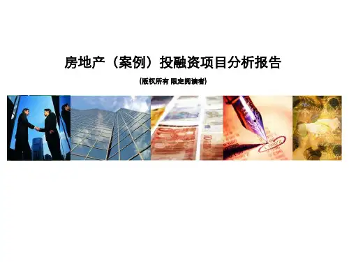 房地产(案例)投融资项目分析报告