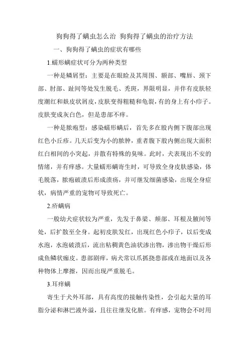 狗狗得了螨虫怎么治 狗狗得了螨虫的治疗方法