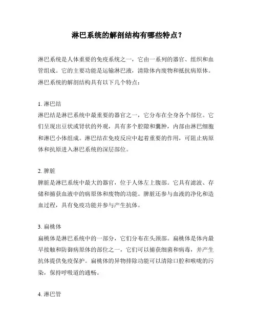 淋巴系统的解剖结构有哪些特点？