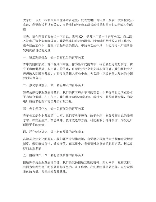发电厂青年岗位发言稿范文