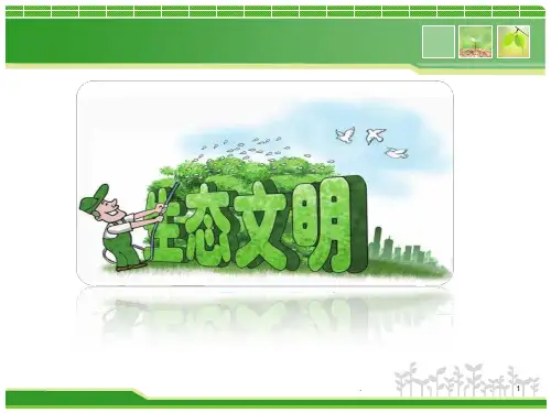 建设社会主义生态文明ppt课件